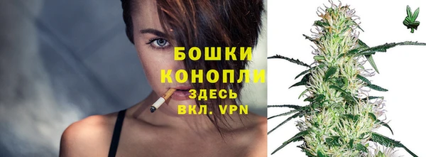твердый Абаза