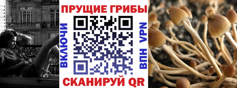 Псилоцибиновые грибы Psilocybine cubensis Тарко-Сале